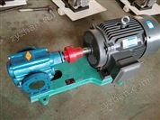 LB-300冷凍機(jī)泵